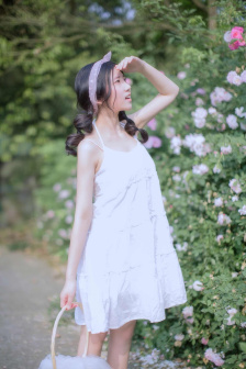 白蛇抄